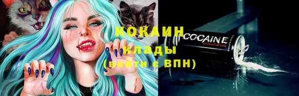 ГАЛЛЮЦИНОГЕННЫЕ ГРИБЫ Абаза