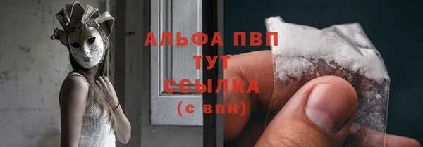 ГАЛЛЮЦИНОГЕННЫЕ ГРИБЫ Абаза