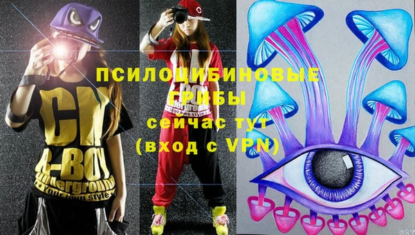 винт Алзамай