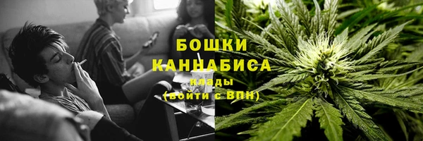 PSILOCYBIN Лихославль