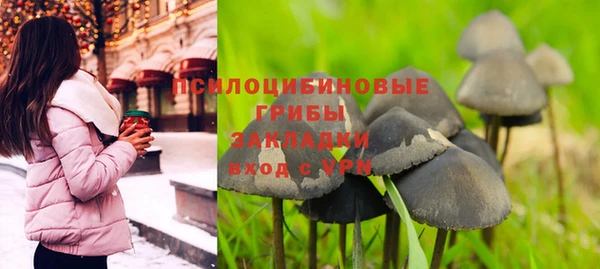 винт Алзамай