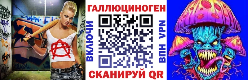 Галлюциногенные грибы Psilocybe  Шлиссельбург 